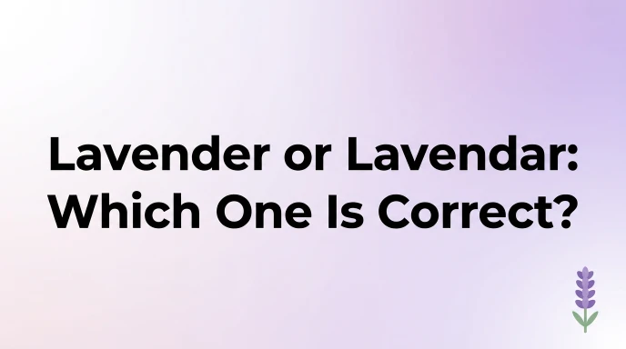 Lavender or Lavendar: Which One Is Correct?
